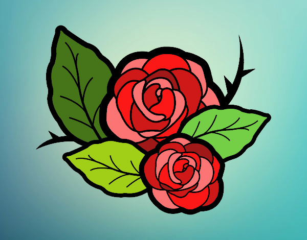 Dos rosas