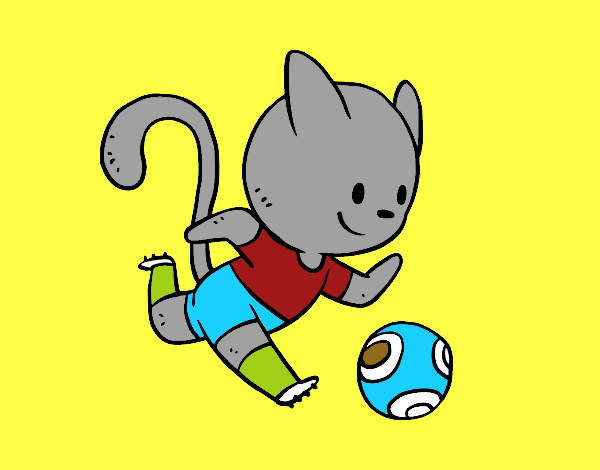 Gato jugando a fútbol