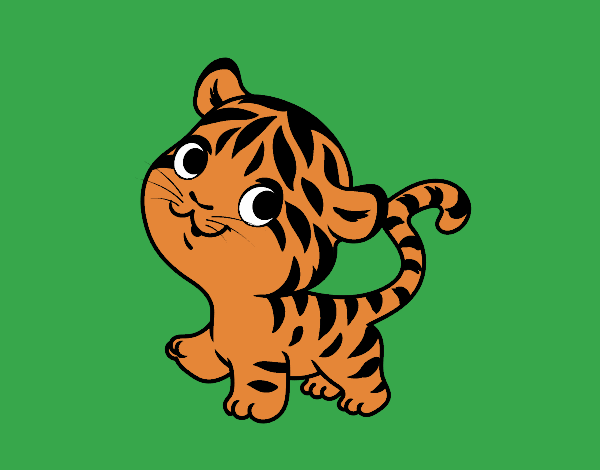 Tigre bebé