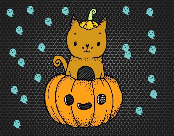 Un gatito de Halloween