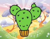 Cactus nopal