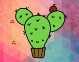 Cactus nopal