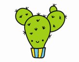 Cactus nopal