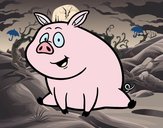 Cerdito de granja