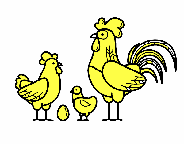 Familia gallina