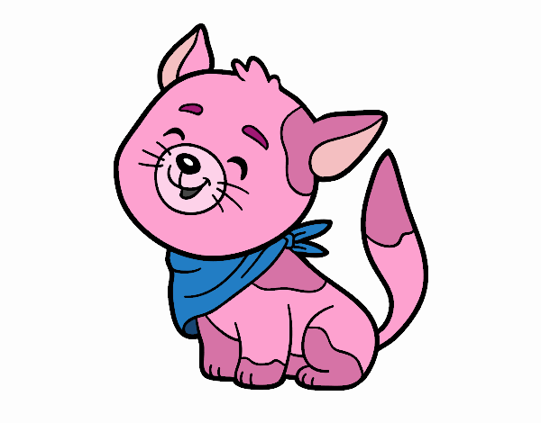 El gato rosa nwn