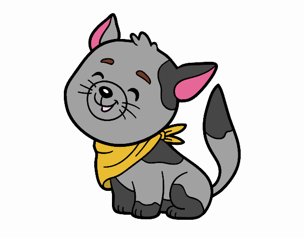 El gato gris nwn