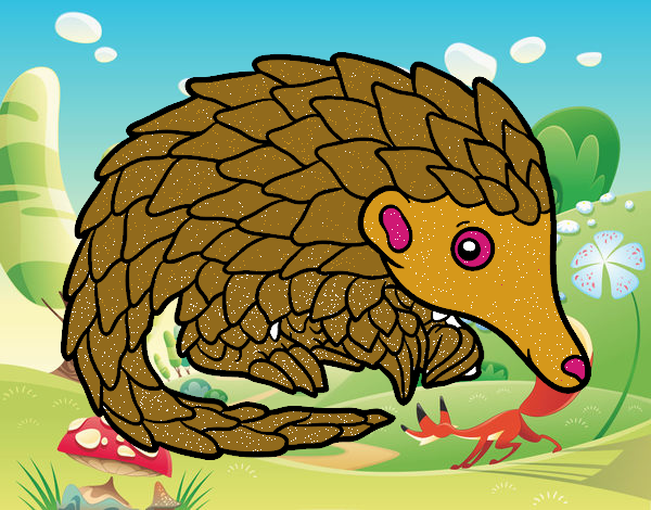 Pangolin