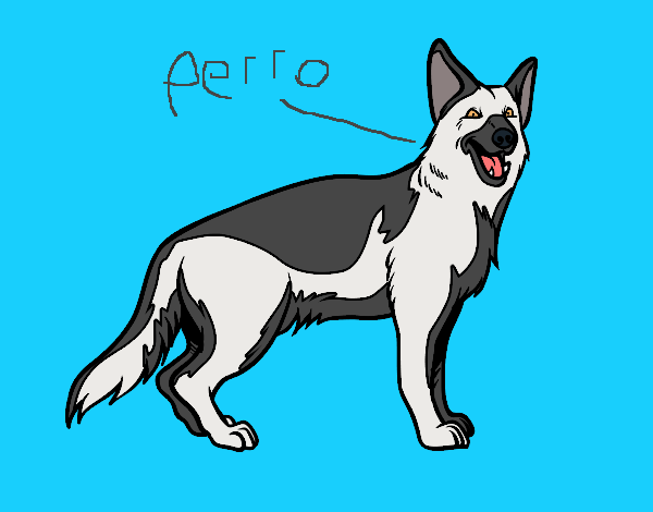 PERRO