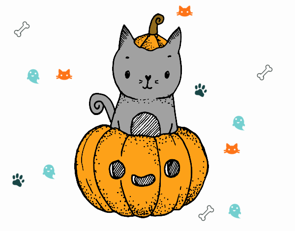 Un gatito de Halloween