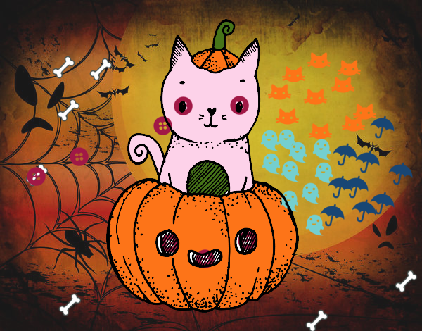 Un gatito de Halloween