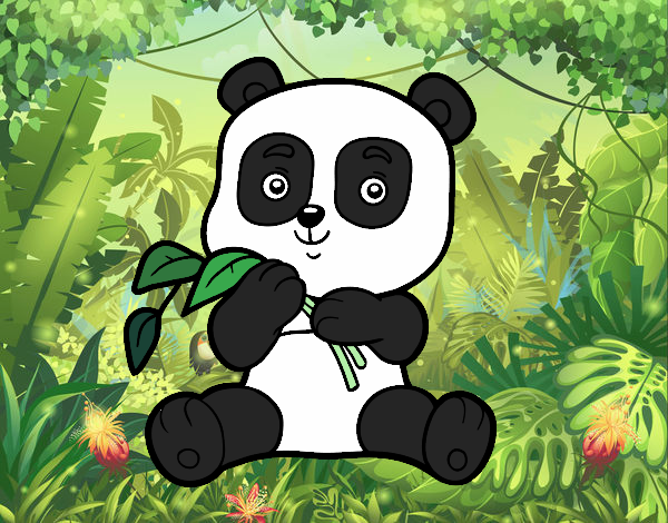 Un oso panda