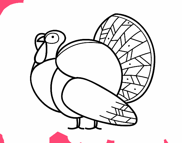 Un pavo