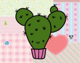 Cactus nopal