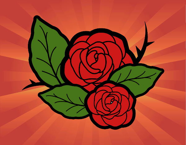 Dos rosas