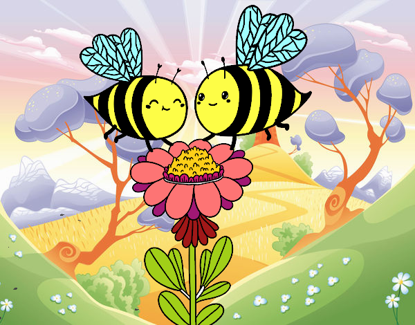 abejas de Feli
