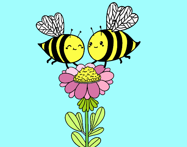 Pareja de abejas