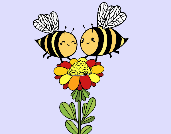 Pareja de abejas