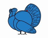 Un pavo