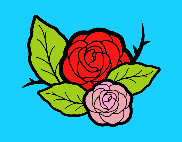 Dos rosas