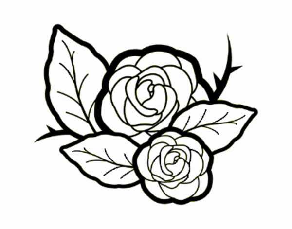 Dos rosas