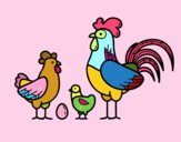 Familia gallina