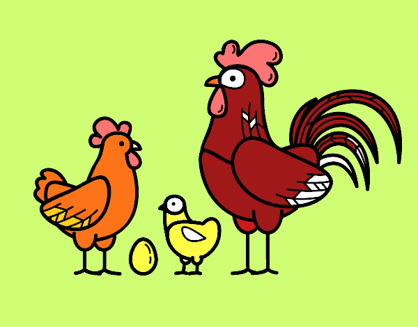 Familia gallina