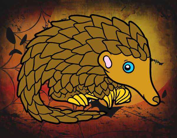 Pangolin