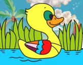 Patito de río