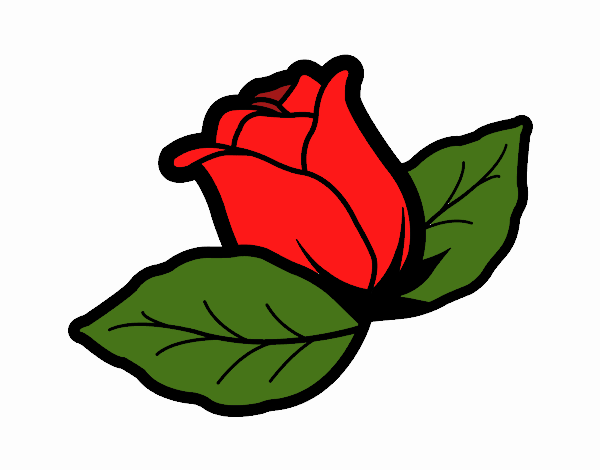 La rosa de mamá 