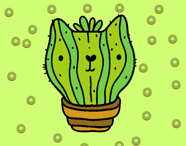 Gato cactus