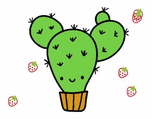 Cactus nopal