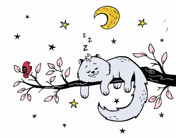 El gato y la luna