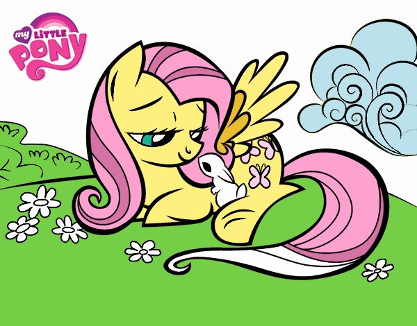Fluttershy and angel?