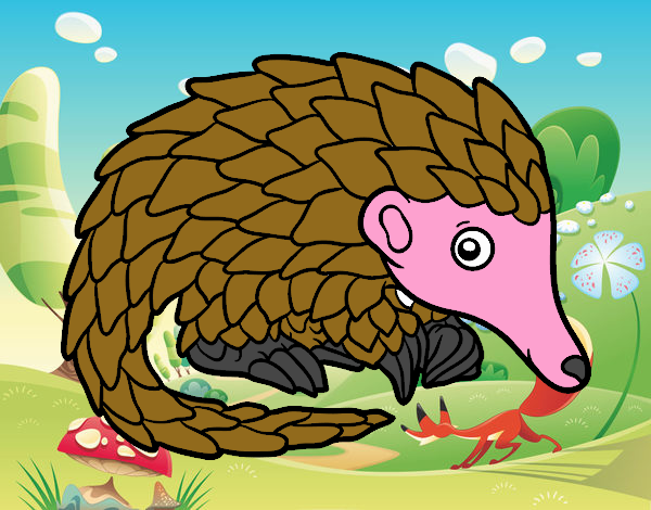 Pangolin