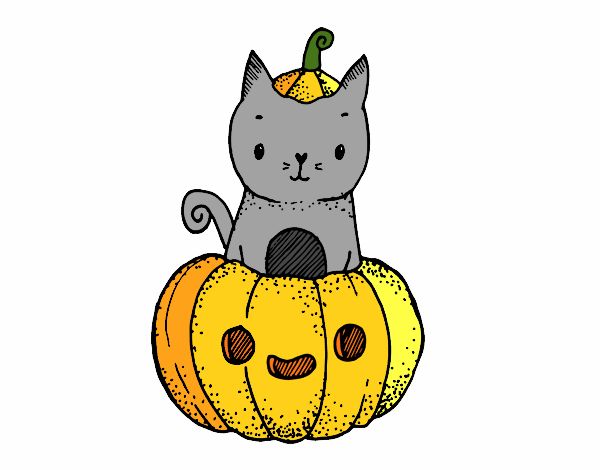 Un gatito de Halloween