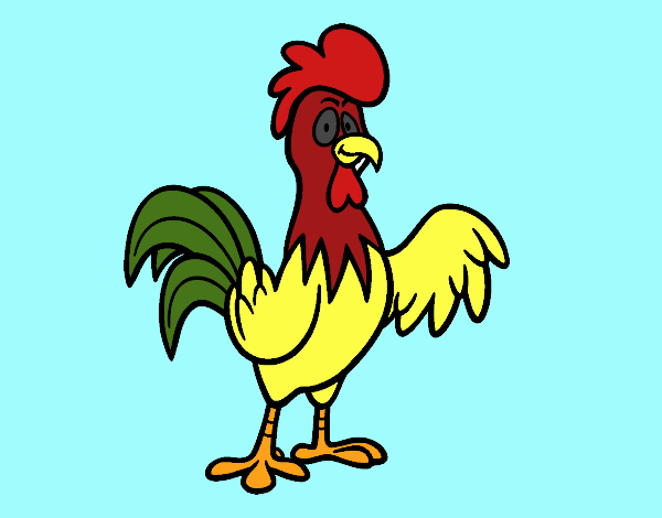 Un gallo de corral