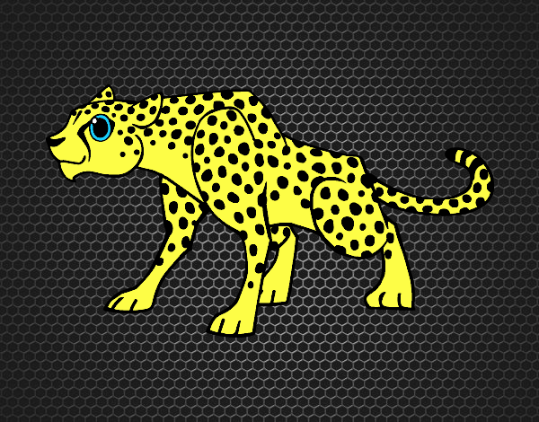 Un leopardo