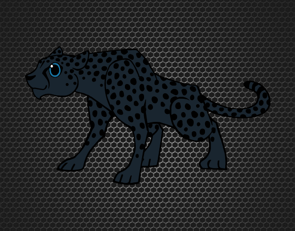 El leopardo negro