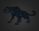 Un leopardo