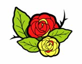 Dos rosas