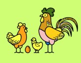 Familia gallina