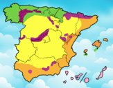 Las Comunidades Autónomas de España