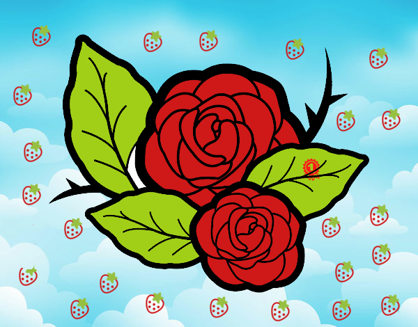 Dos rosas