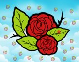 Dos rosas