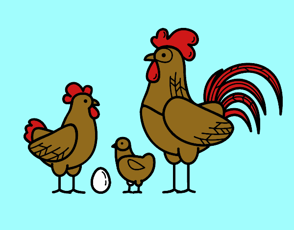 Familia gallina