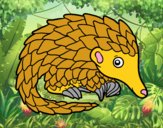 Pangolin