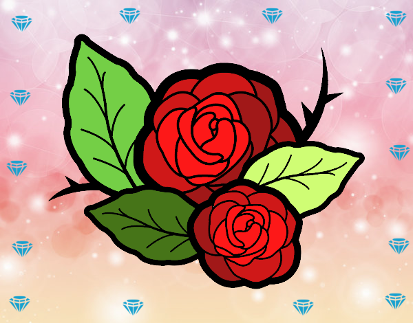 Dos rosas