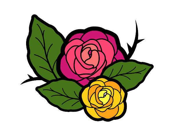 Dos rosas