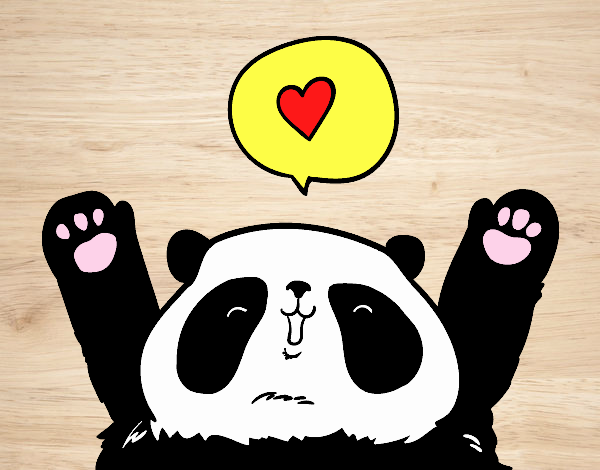 Panda enamorado